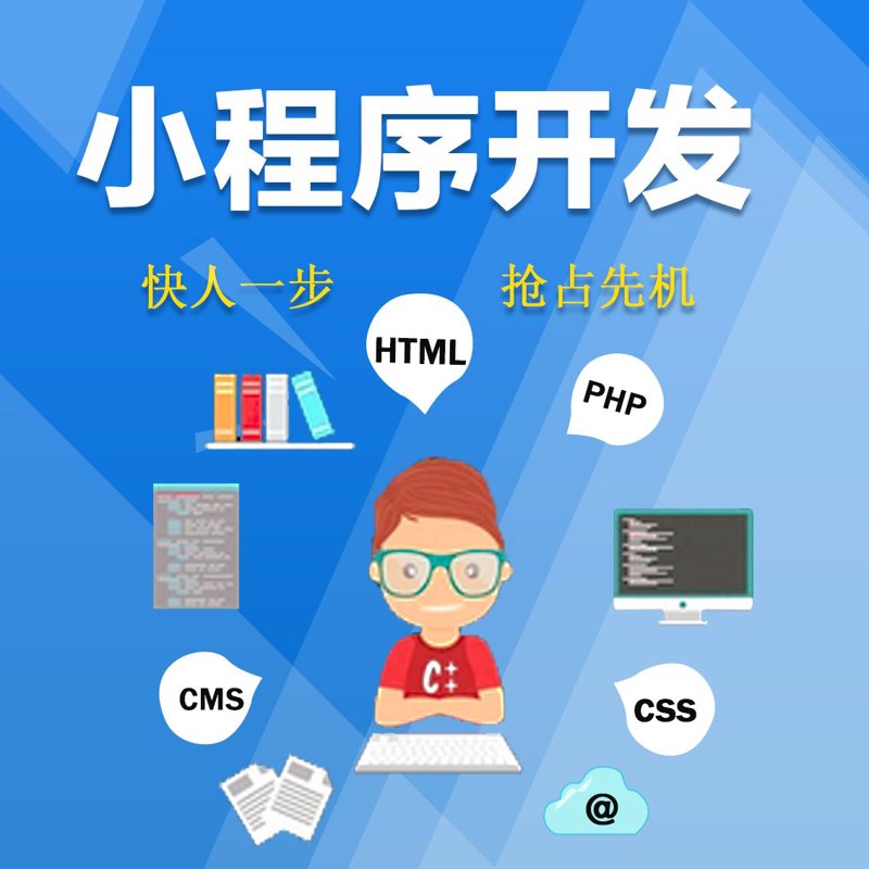 企业系统的定制化趋势解读